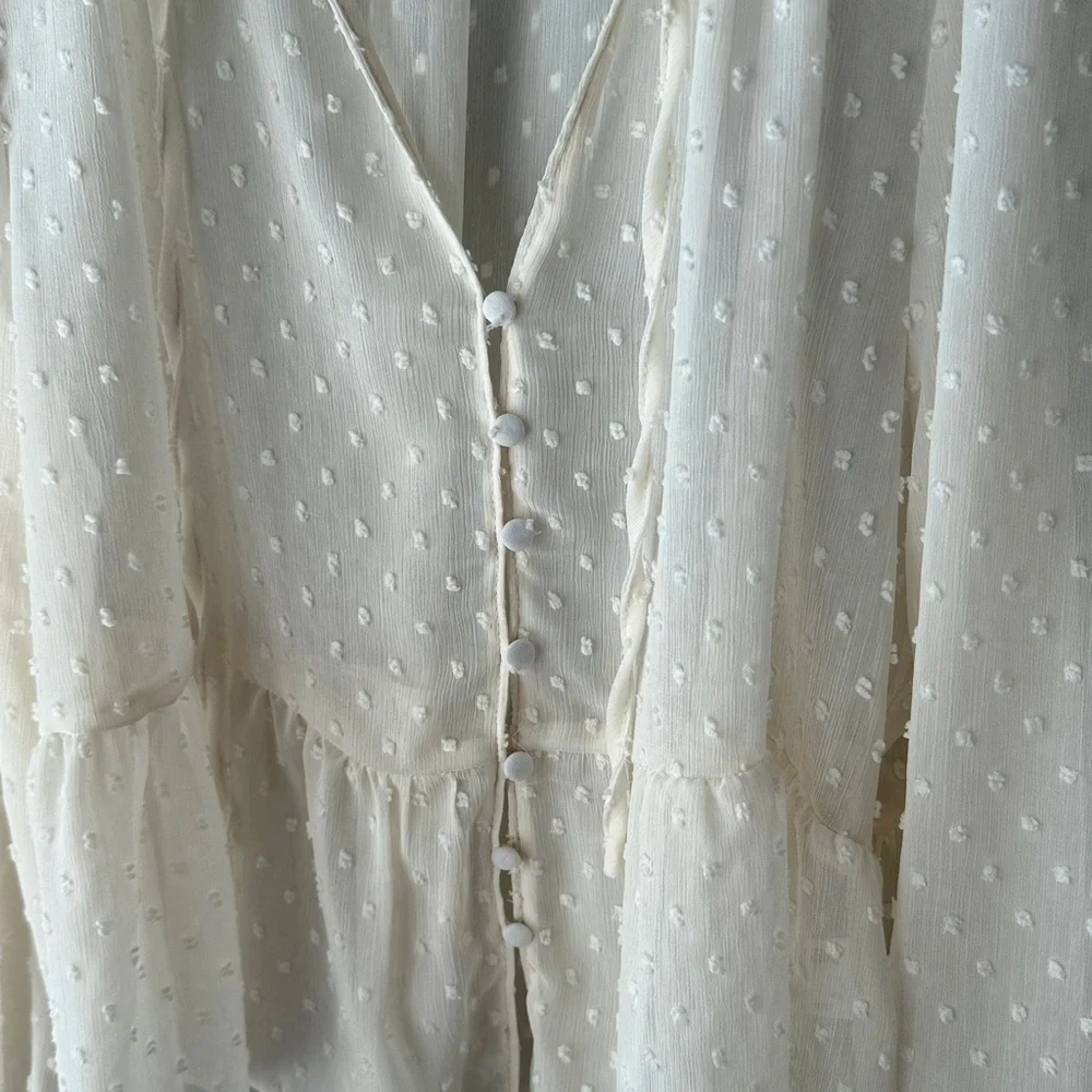 Zara Swiss Dot Sheer Button Down Blouse - Picture 6 of 11